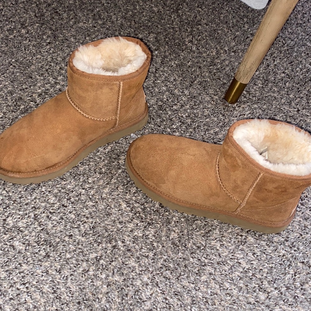 Short chestnut UGG's